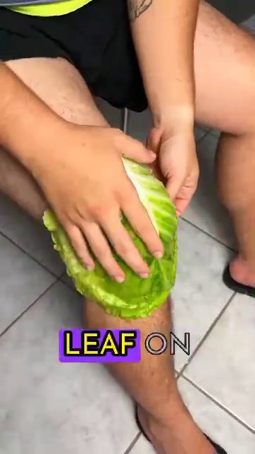 HOW TO USE CABBAGE LEAF TO RELIEVE JOINT PAIN
