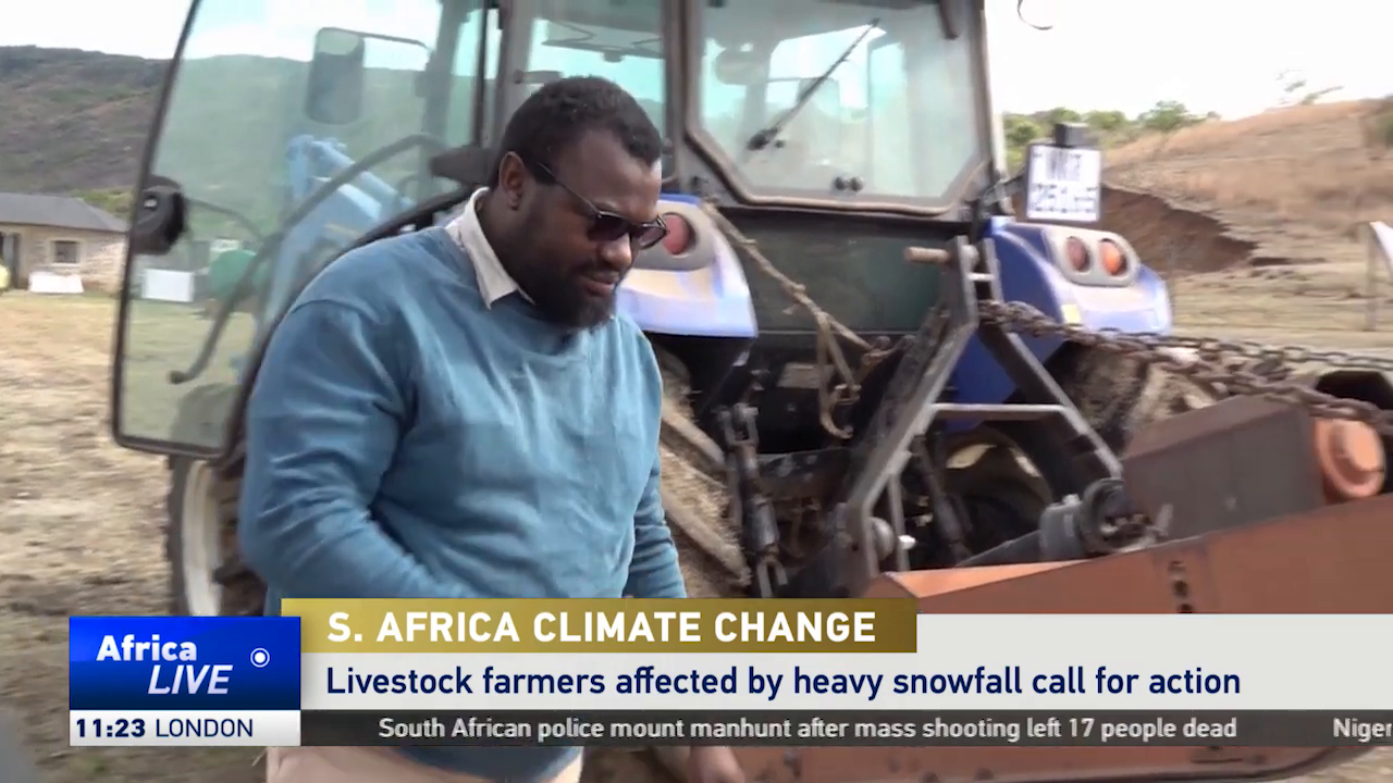 South Africa’s livestock farmers affected by heavy snowfall call for action.