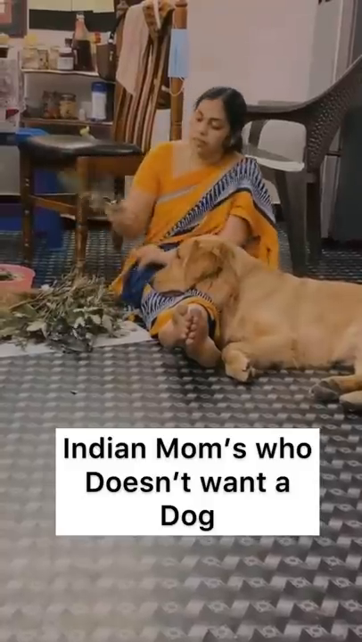 Every Indian mom who doesn’t want a dog ❤️